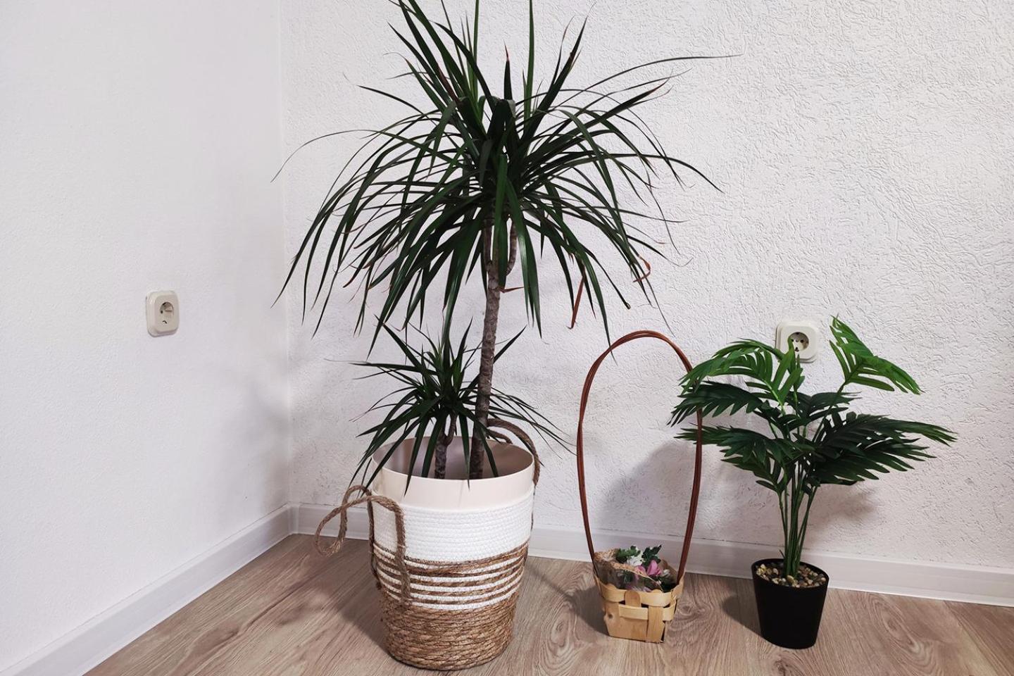 מוסטר Farah Apartment מראה חיצוני תמונה